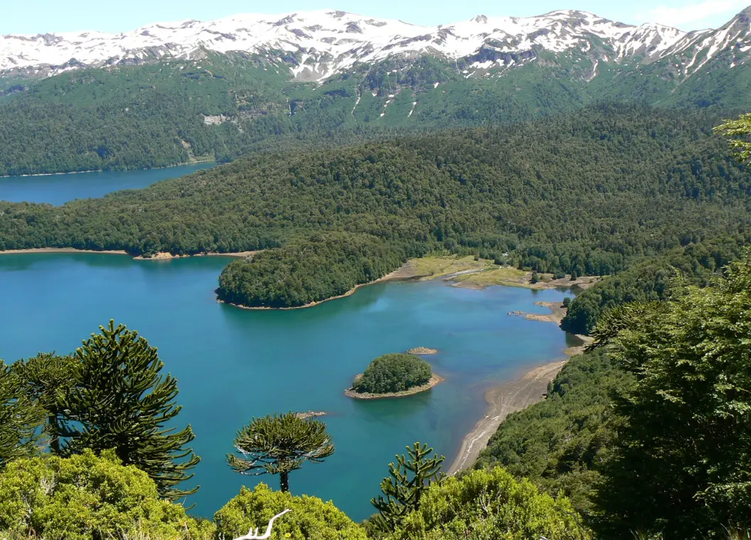 Qué hacer en Melipeuco